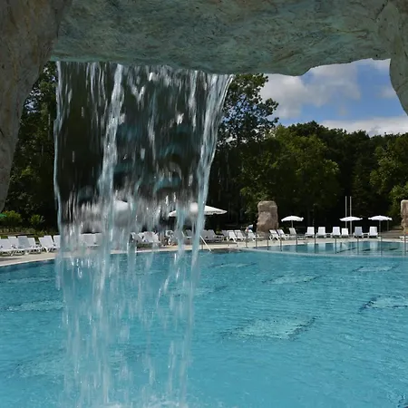 Forest 호텔 프리모르스코