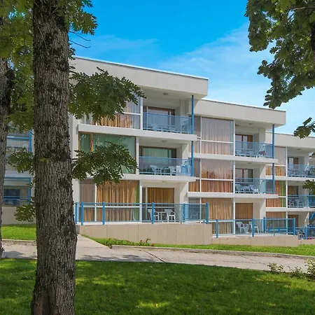 Forest 프리모르스코