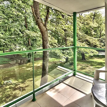 Forest 4* Πριμόρσκο