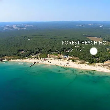 Forest Hotel