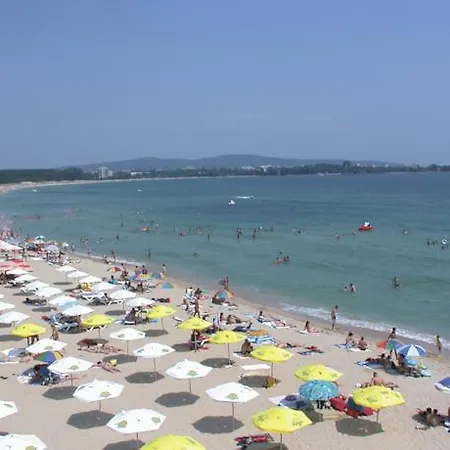 Forest Приморско