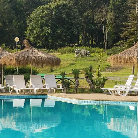 Отель Forest 4*