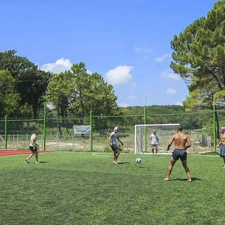 Forest 4* Πριμόρσκο