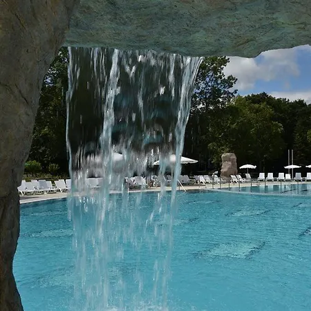 Отель Forest 4*