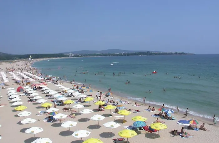 Forest بريمورسكو